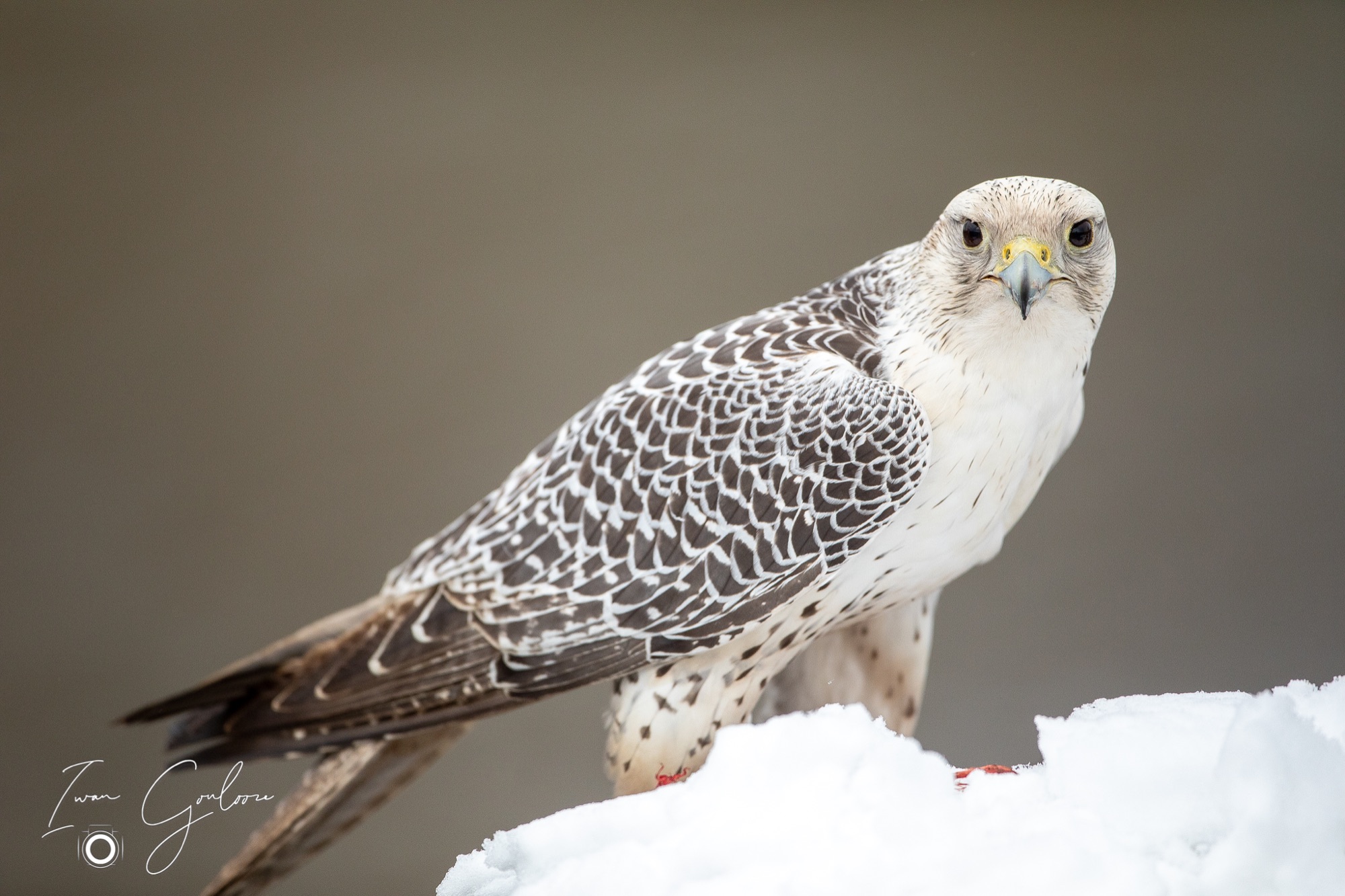 01 april 2022 115026  5D45700